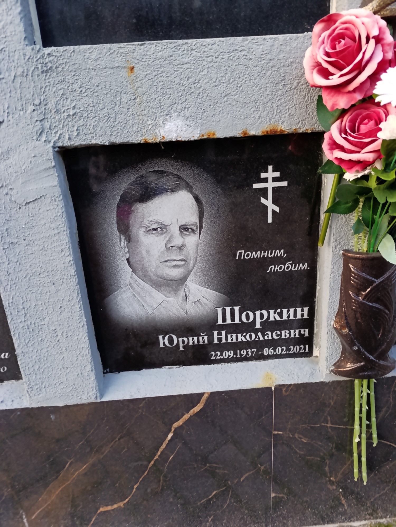 Шоркин Юрий Николаевич