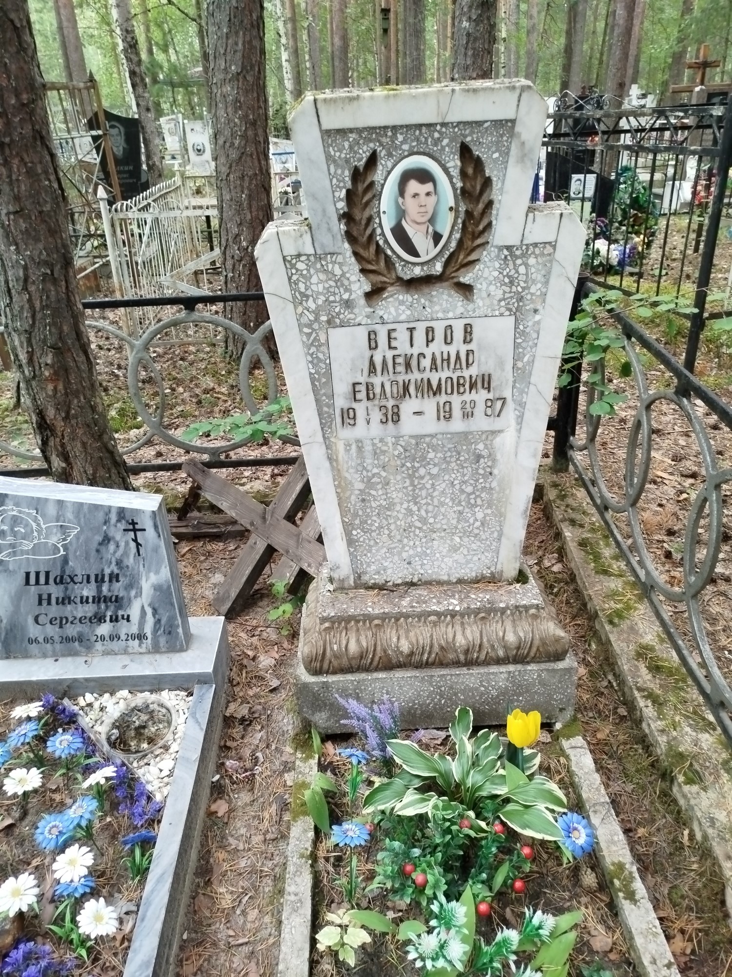Ветров Александр Евдокимович