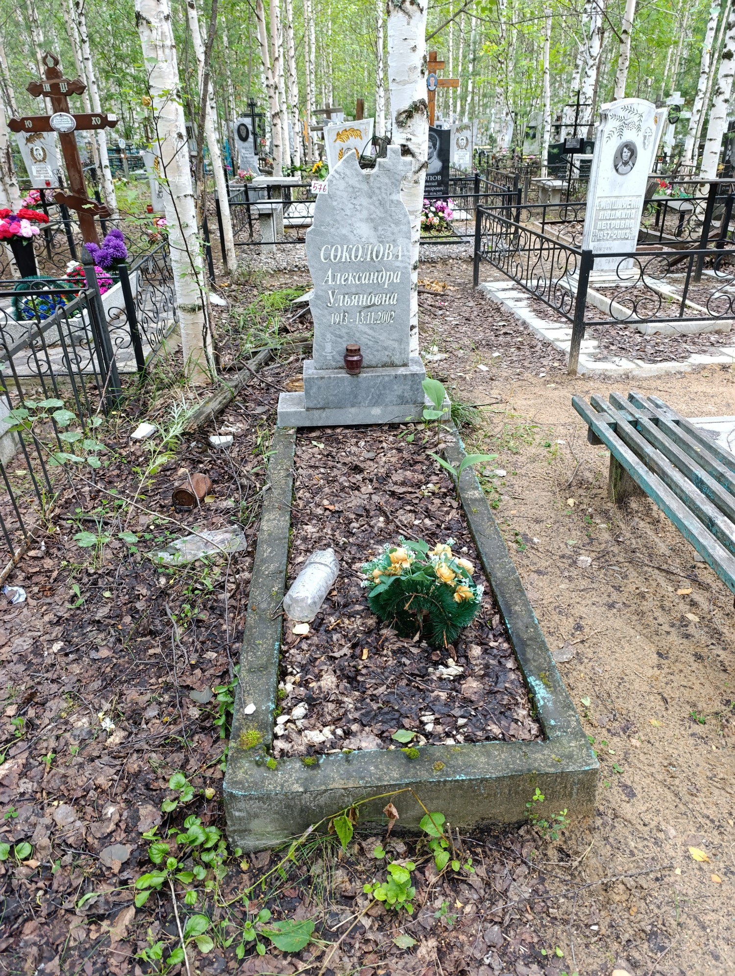 Соколова Александра Ульяновна