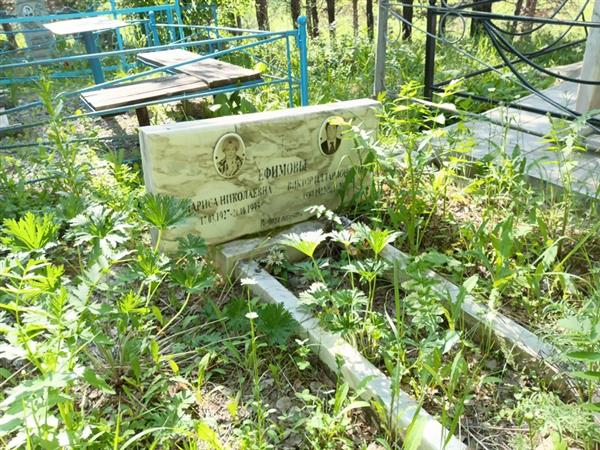 Ефимов Виктор Илларионович