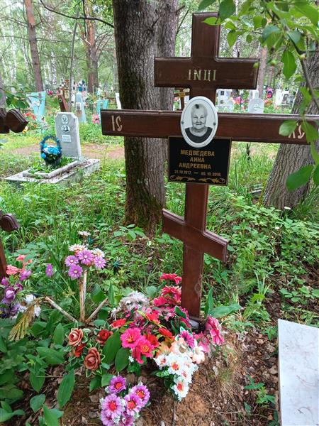 Медведева Анна Андреевна