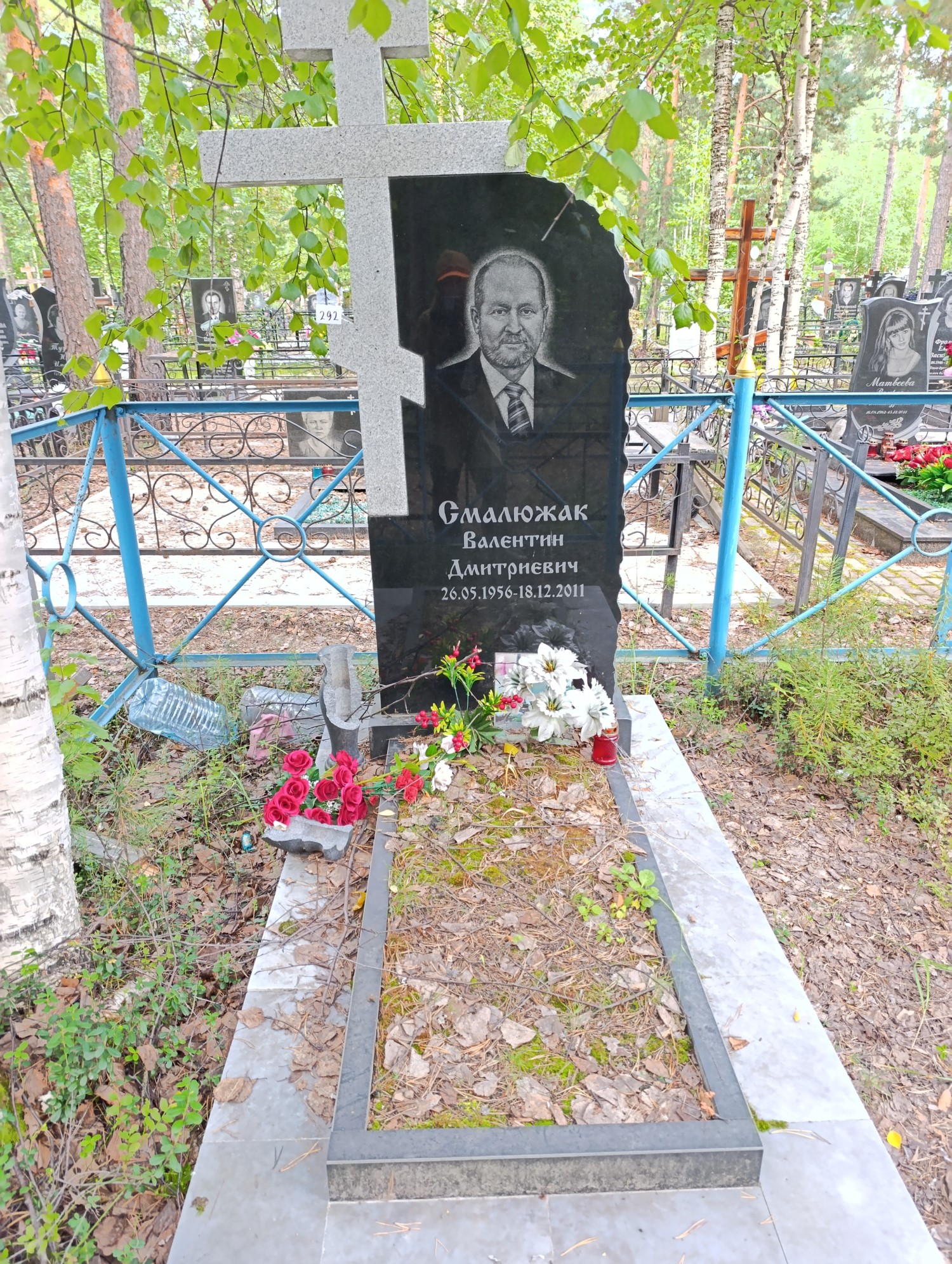 Смалюжак Валентин Дмитриевич