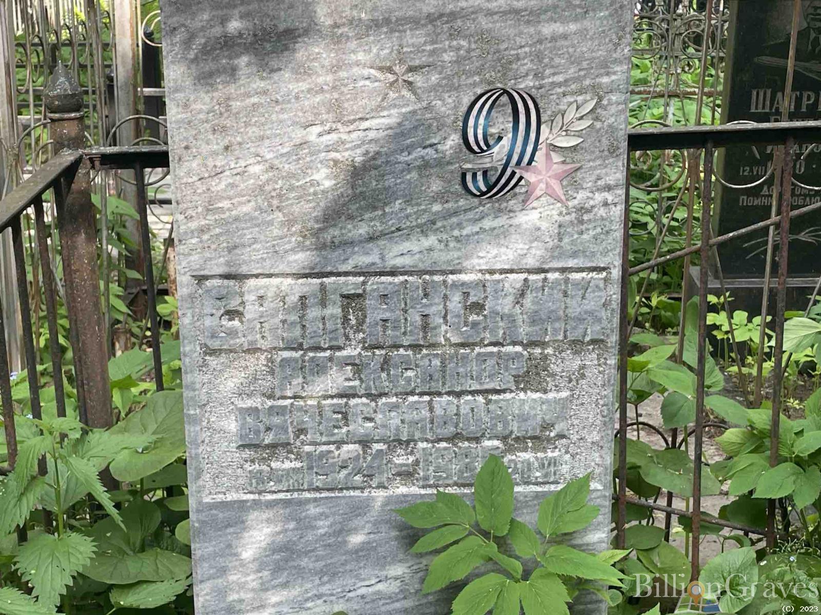 Салганский Александр Вячеславович