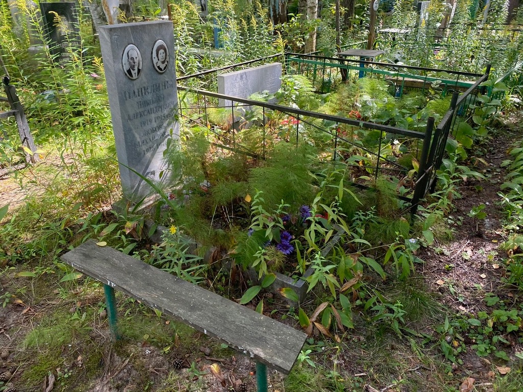 Папилин Николай Александрович