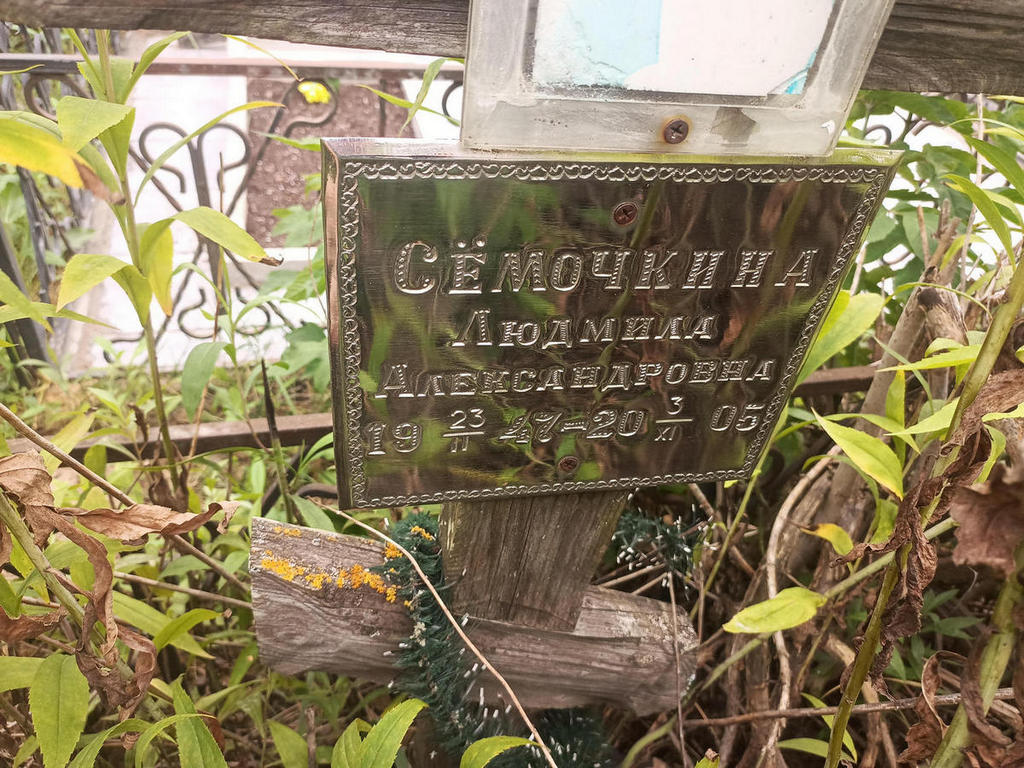 Семочкина Людмила Александровна