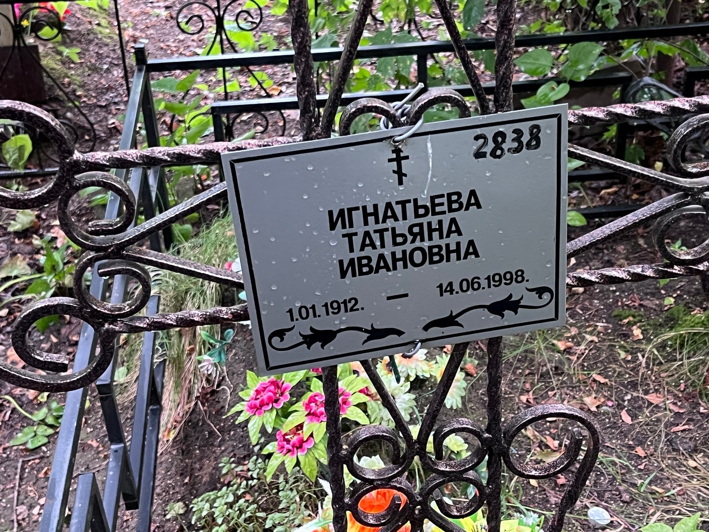 Игнатьева