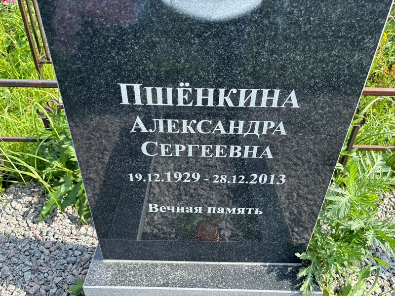 Пшенкина Александра Сергеевна
