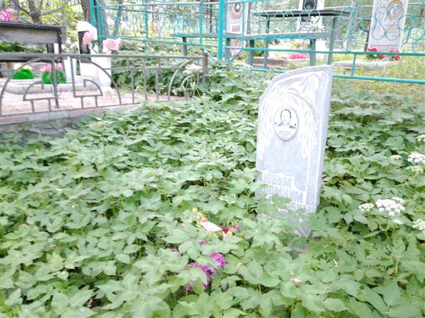 Показаньев Виктор Николаевич