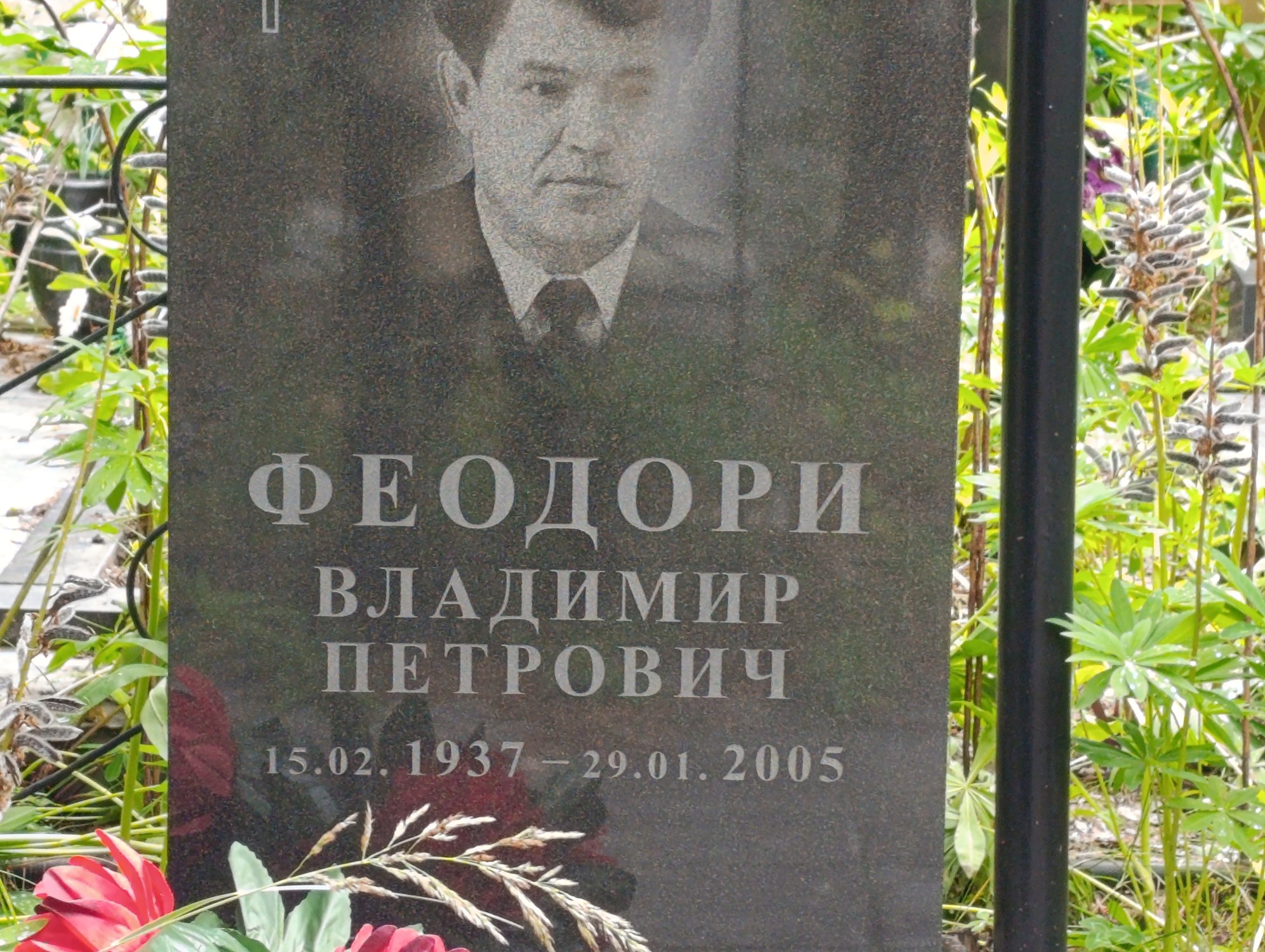 Феодори Владимир Петрович