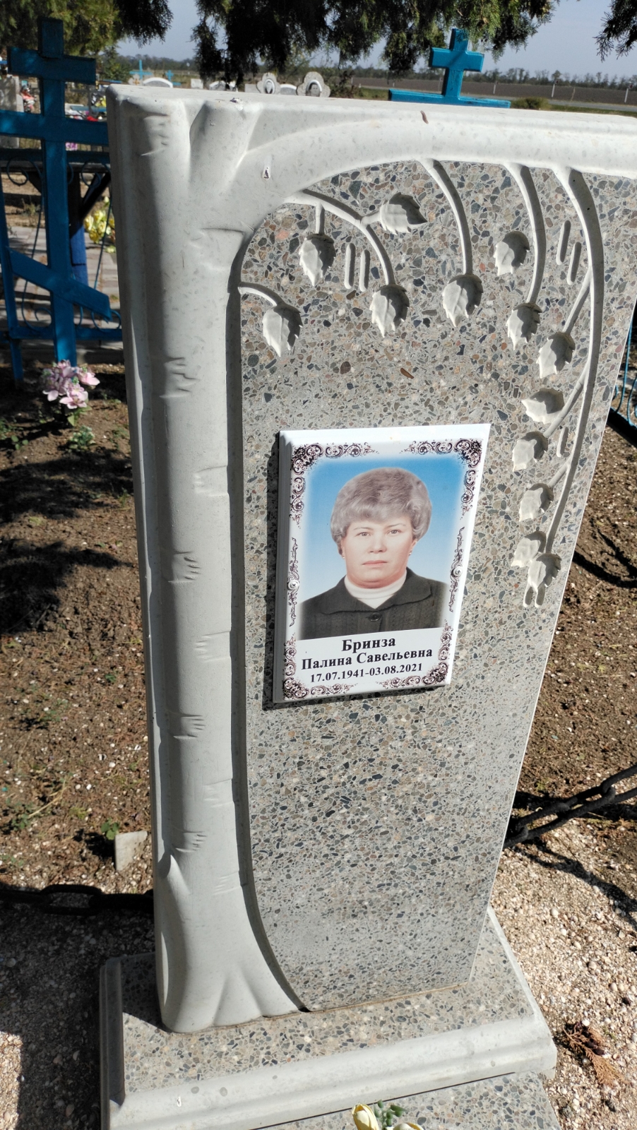 Бринза Палина Савельевна