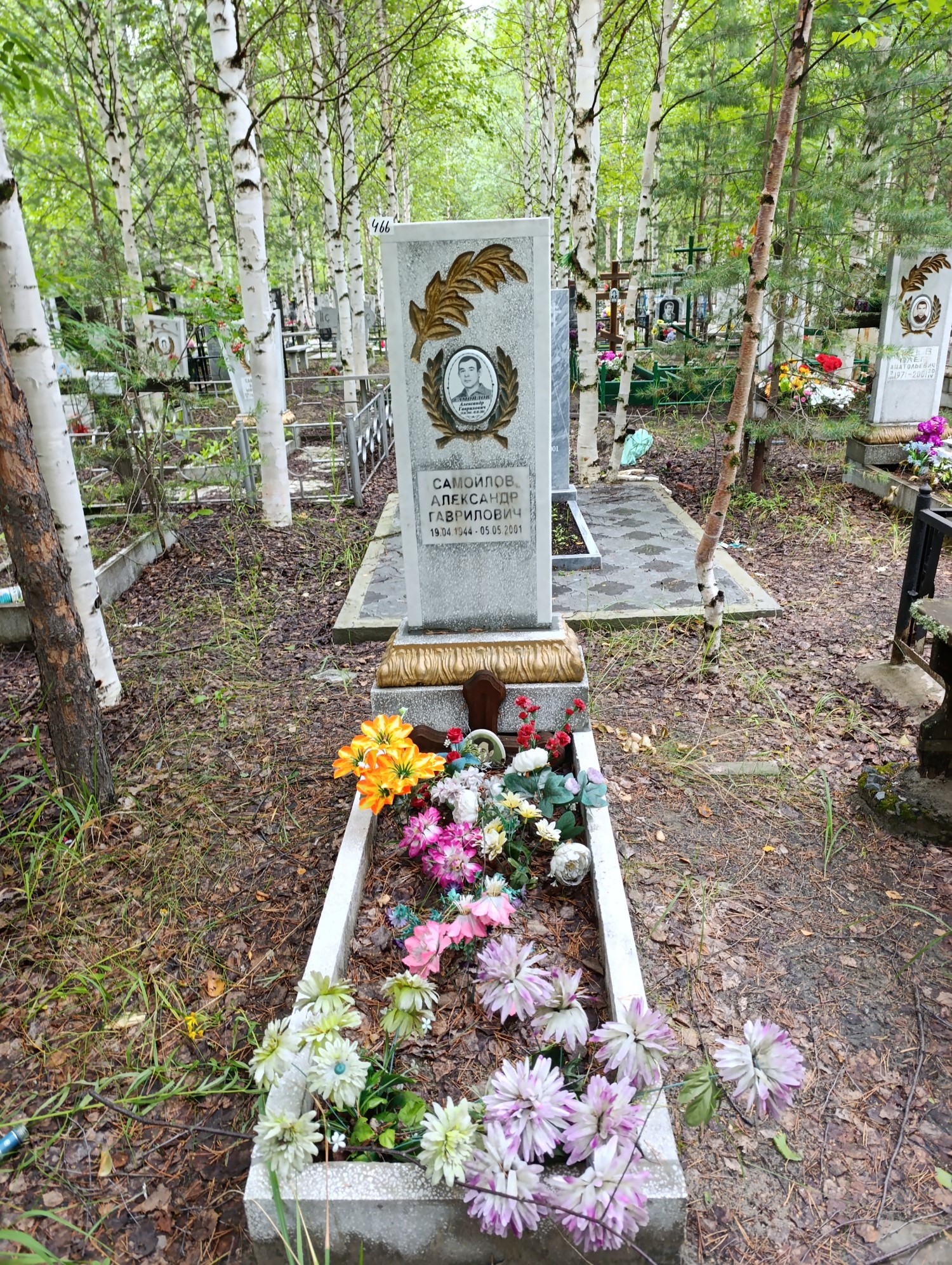 Самойлов Александр Гаврилович