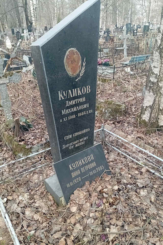 Куликов Дмитрий Михайлович