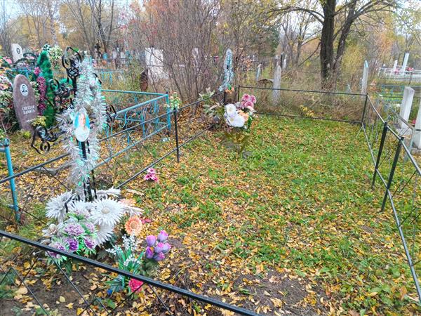 Ледяев Василий Николаевич