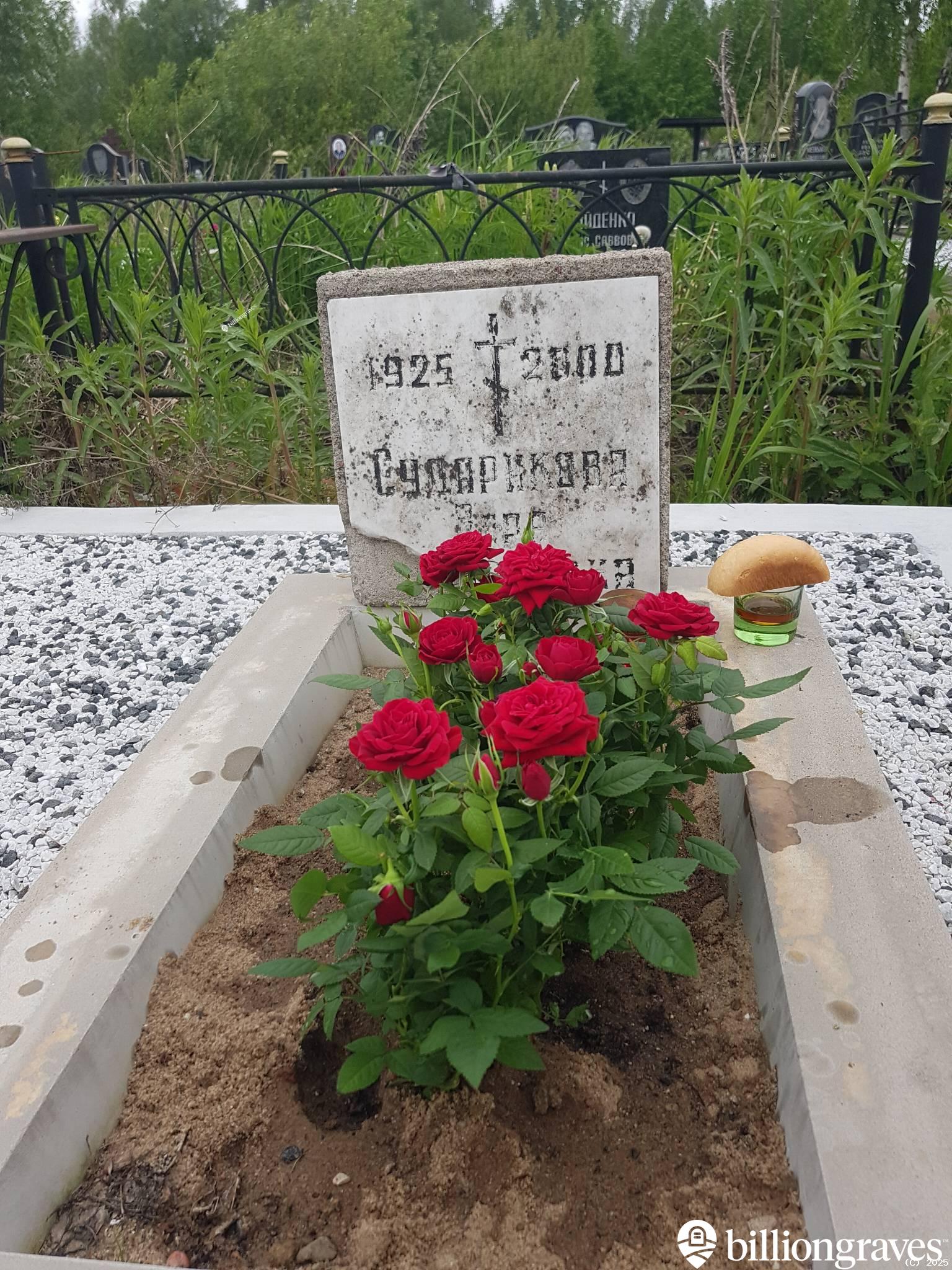 Сударикова Вера Михайловна