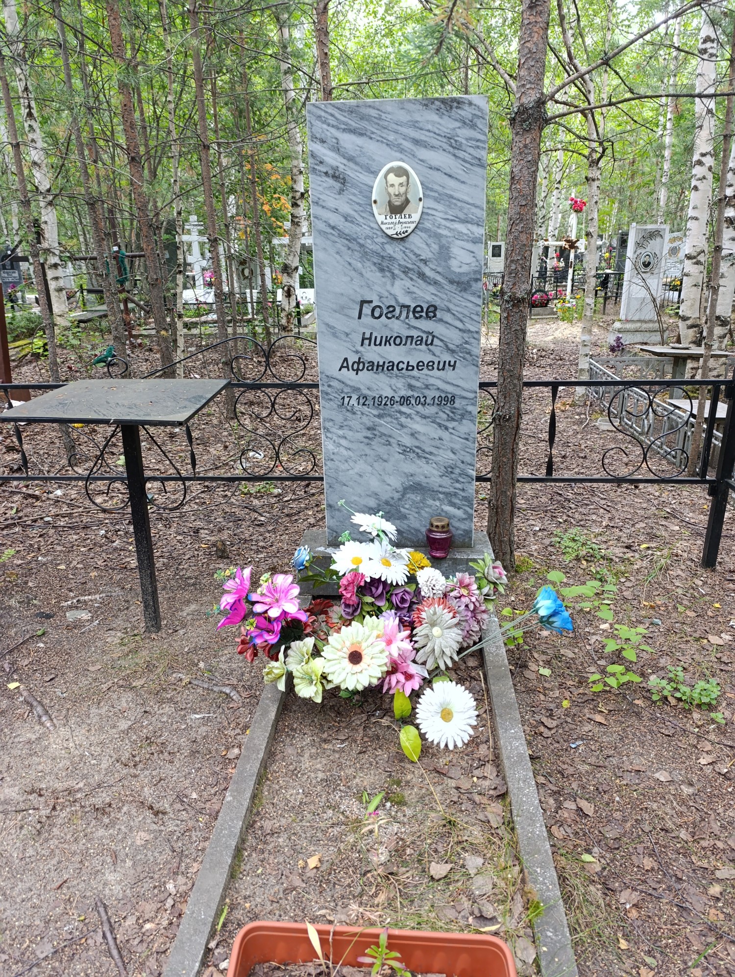 Гоглев Николай Афанасьевич