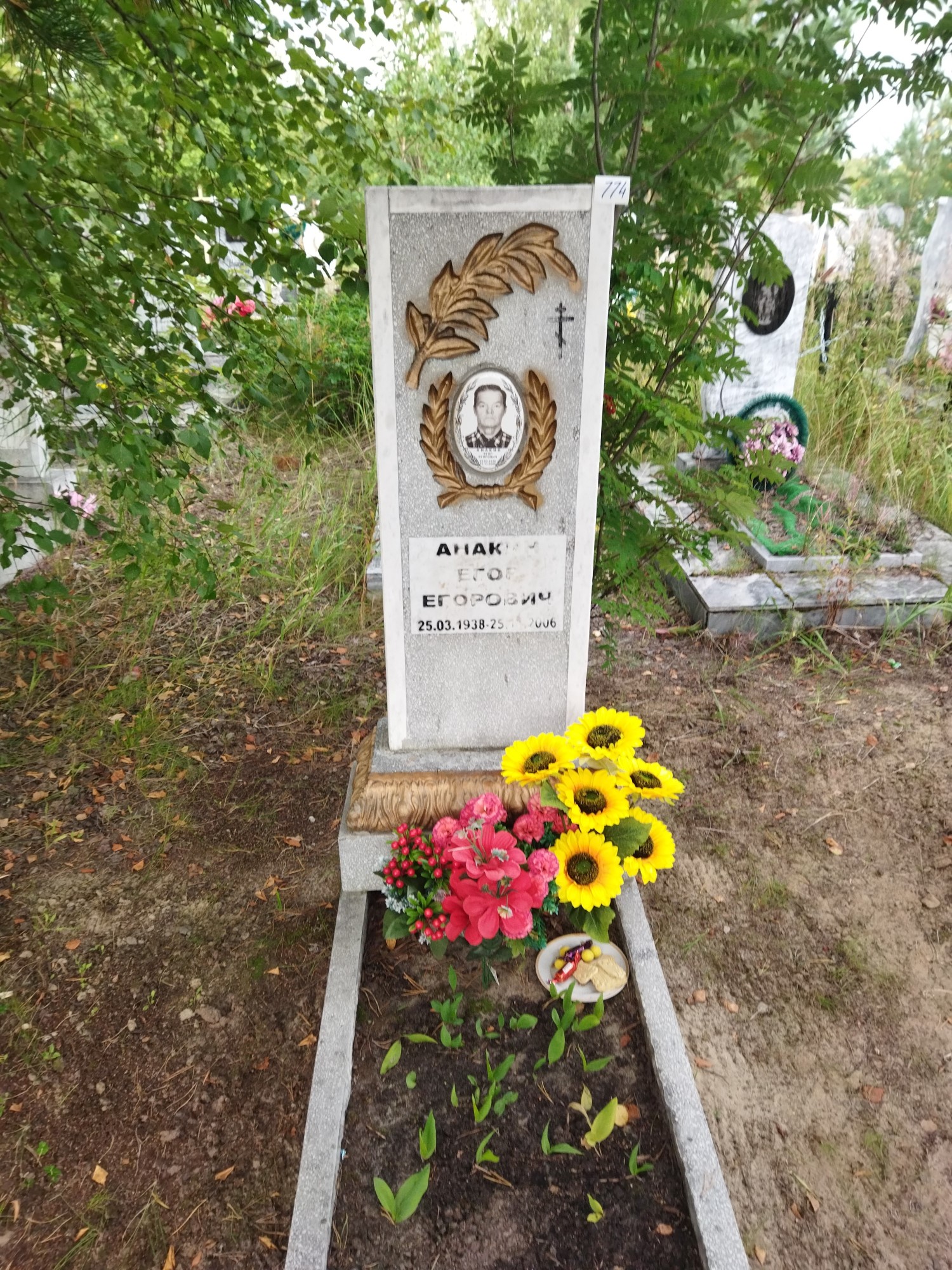 Анакин Егоро Егорович