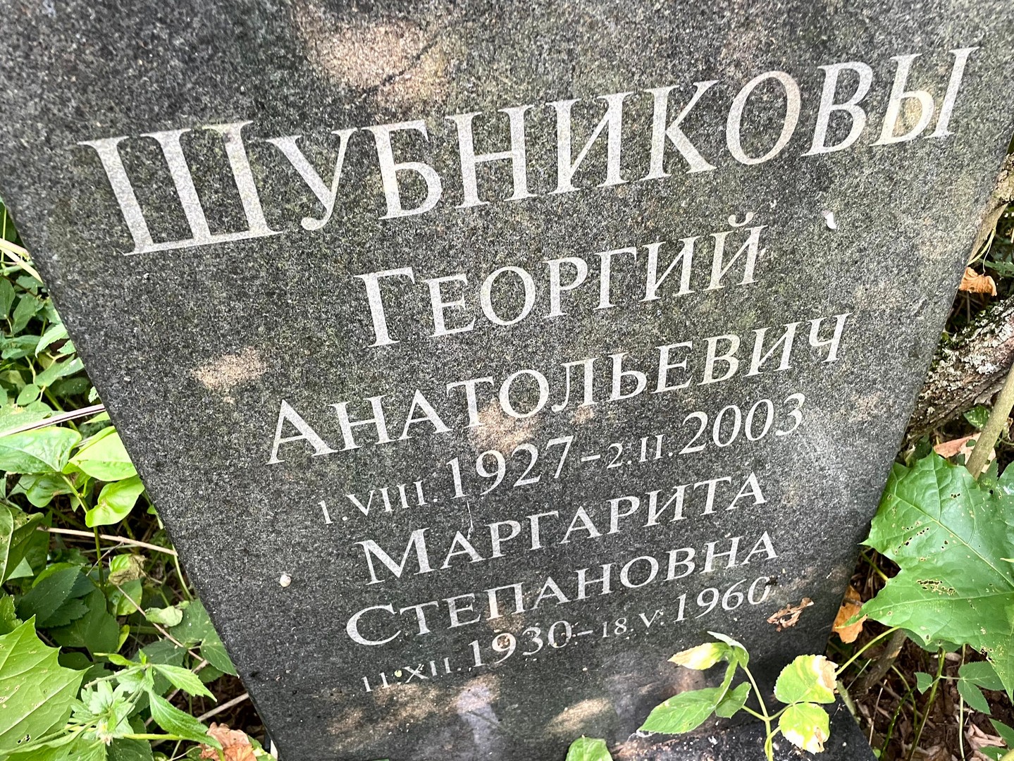 Шубникова