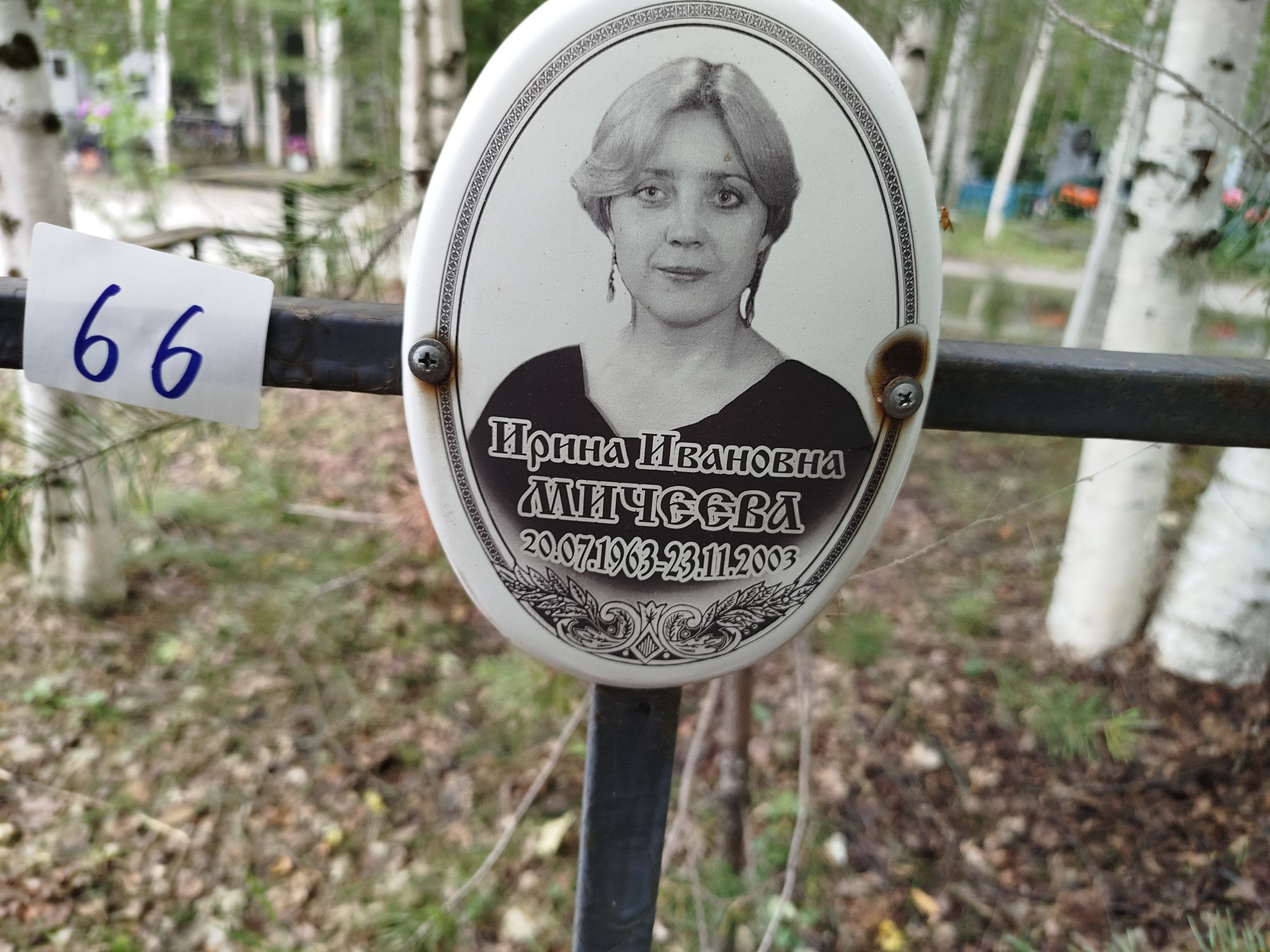 Мичеева Ирина Ивановна