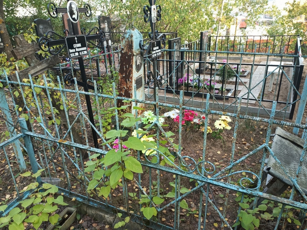 Сеник Нина Ивановна