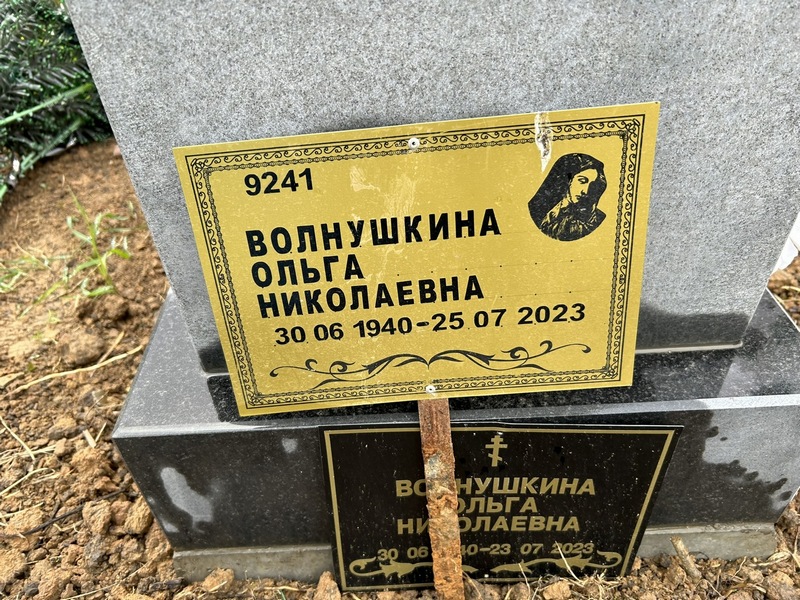 Волнушкина