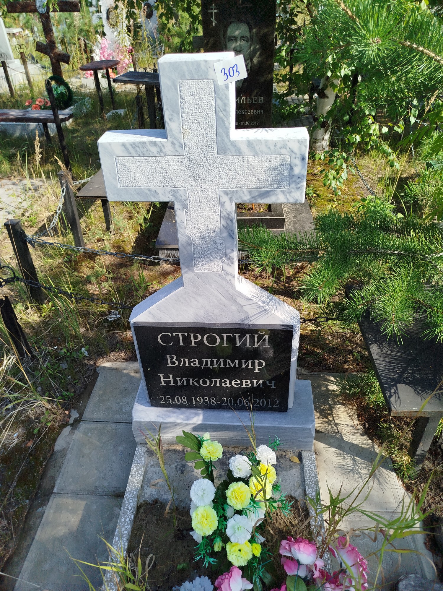 Строгий Владимир Николаевич