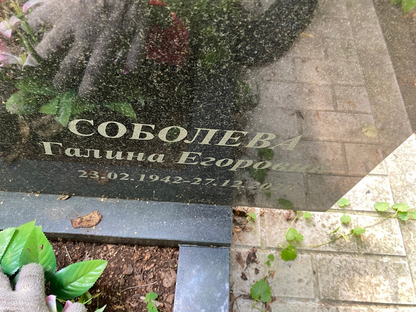 Соболева