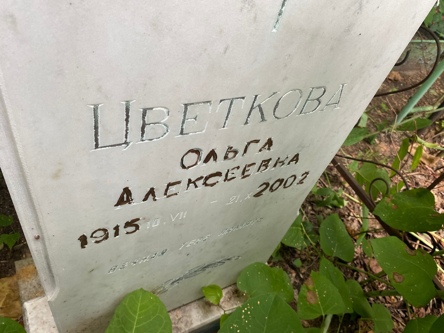 Цветкова