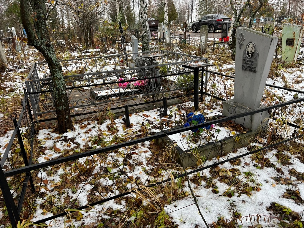 Скворцов Николай Анатольевич