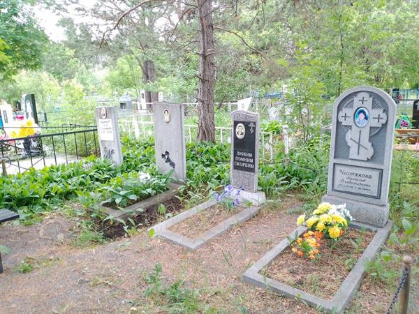 Вовк Александр Владимирович