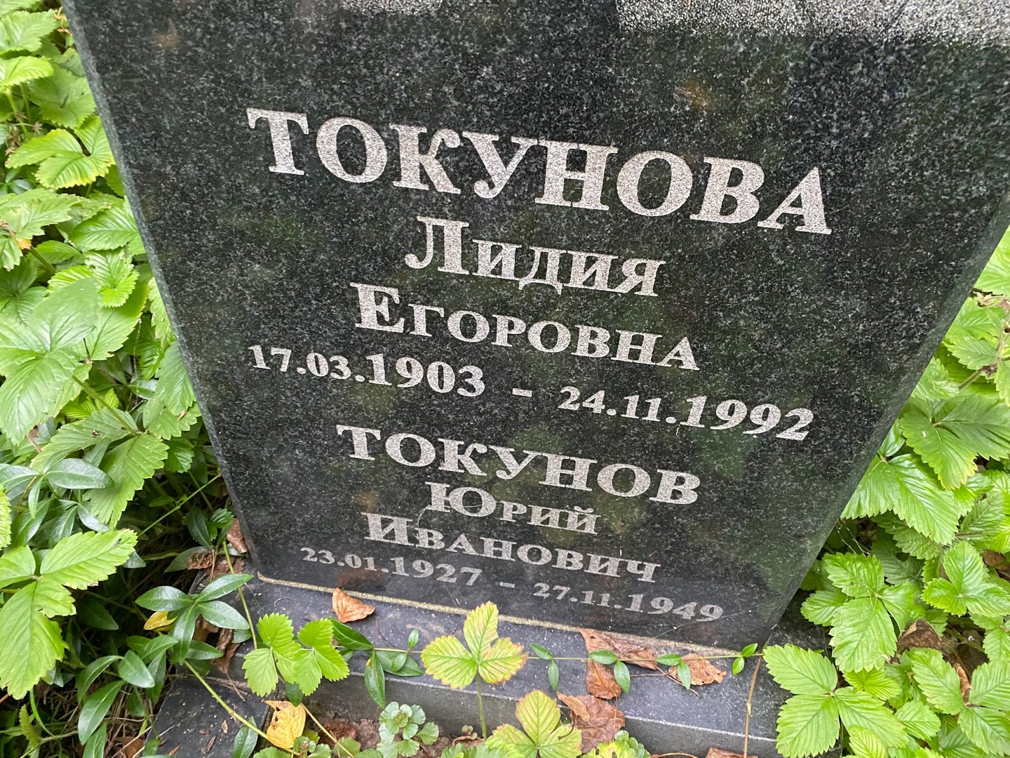 Токунова