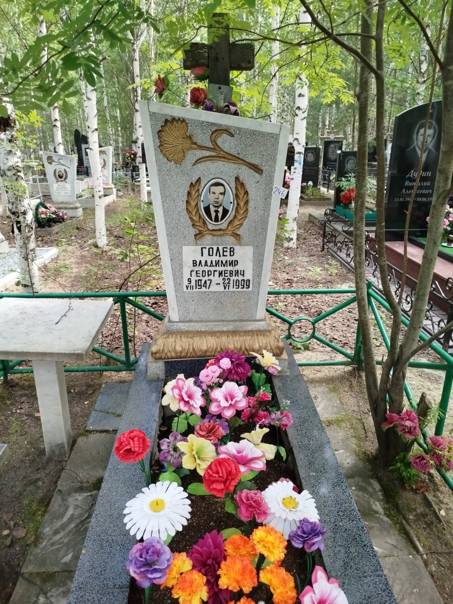 Голев Владимир Георгиевич