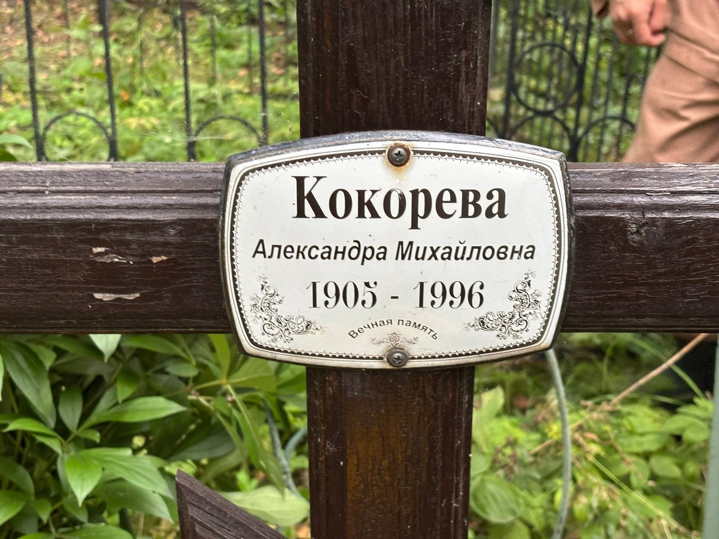 Кокорева Александра Михайловна