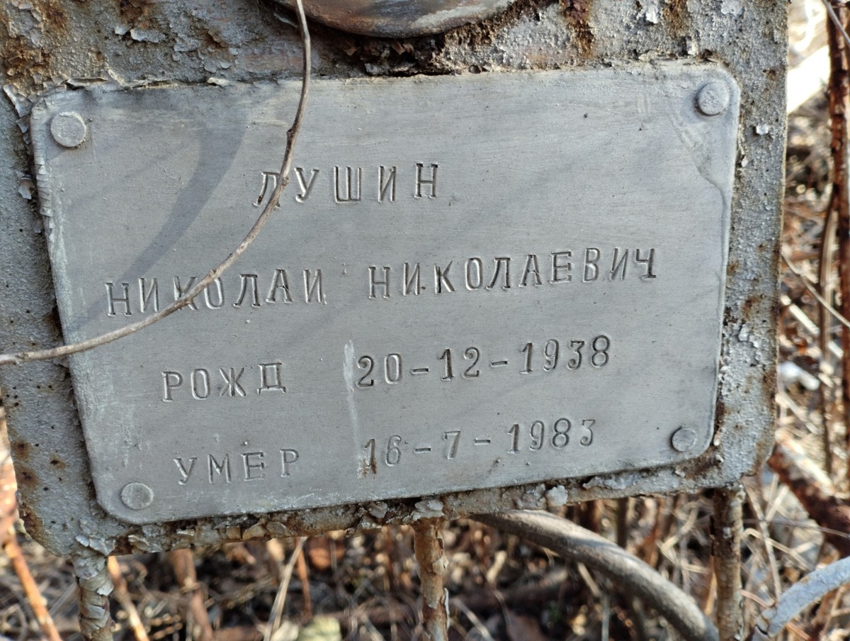 Лушин Николай Николаевич