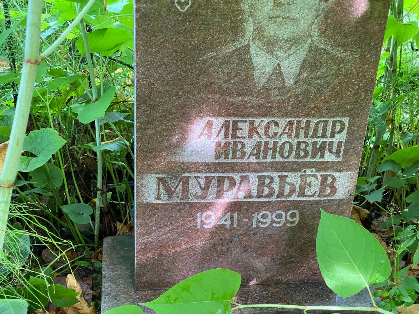 Муравьев