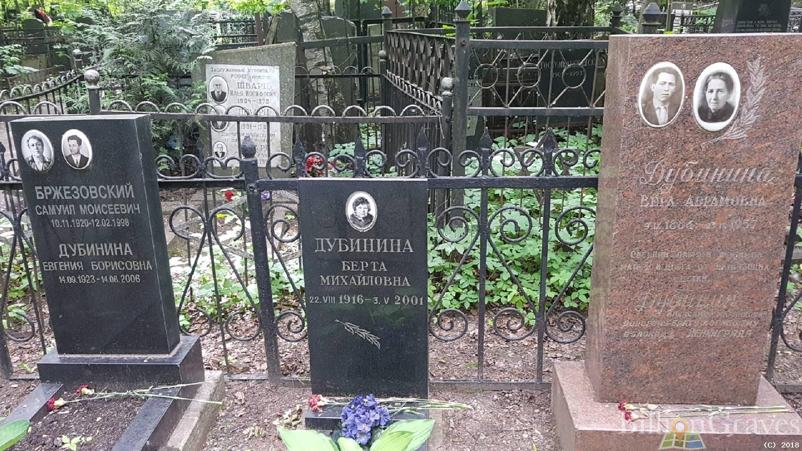 Бржезовский Самуил Моисеевич