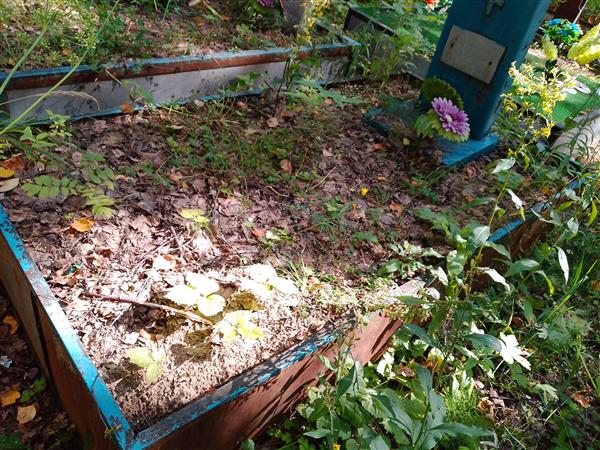 Кугаевский Геннадий Александрович