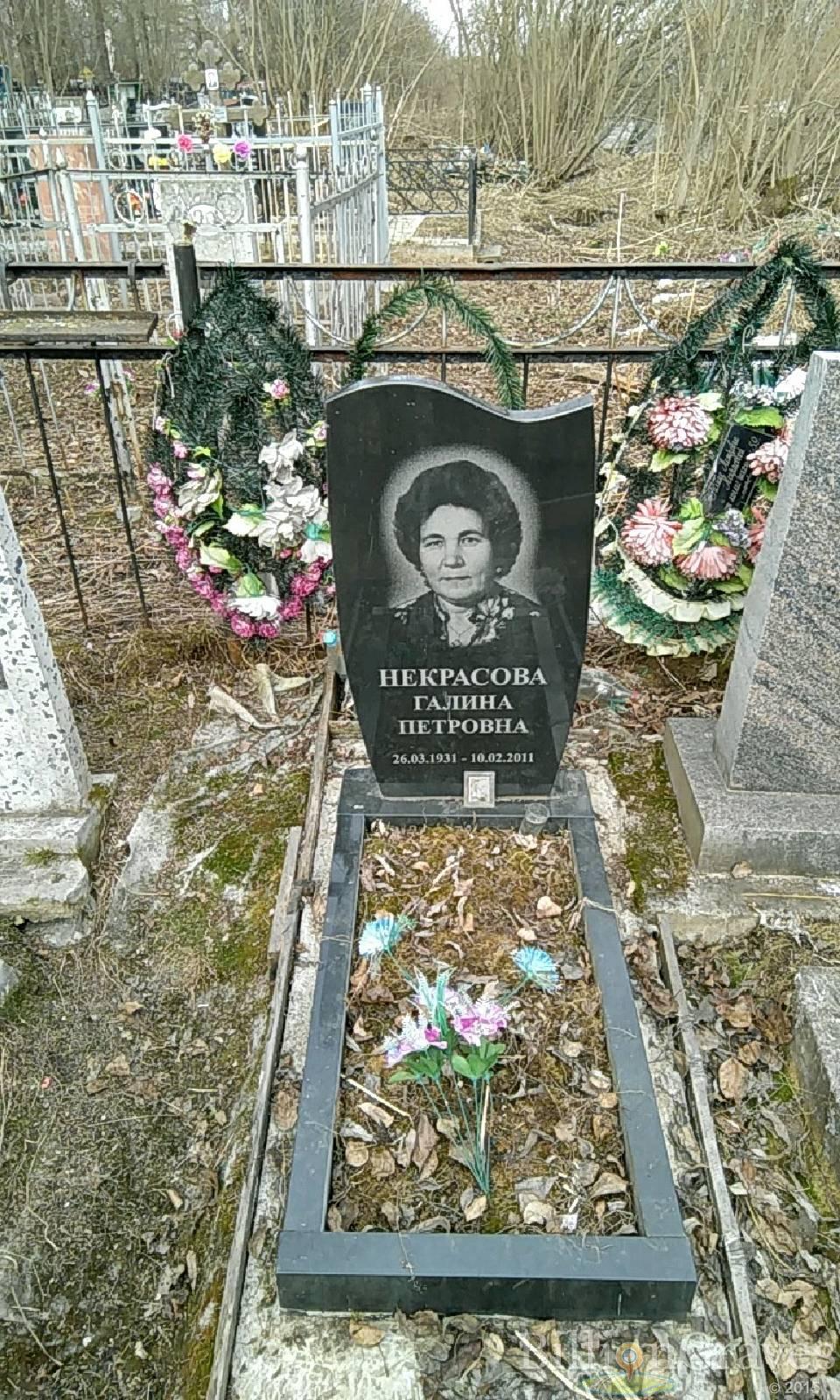 некрасова галина петровна