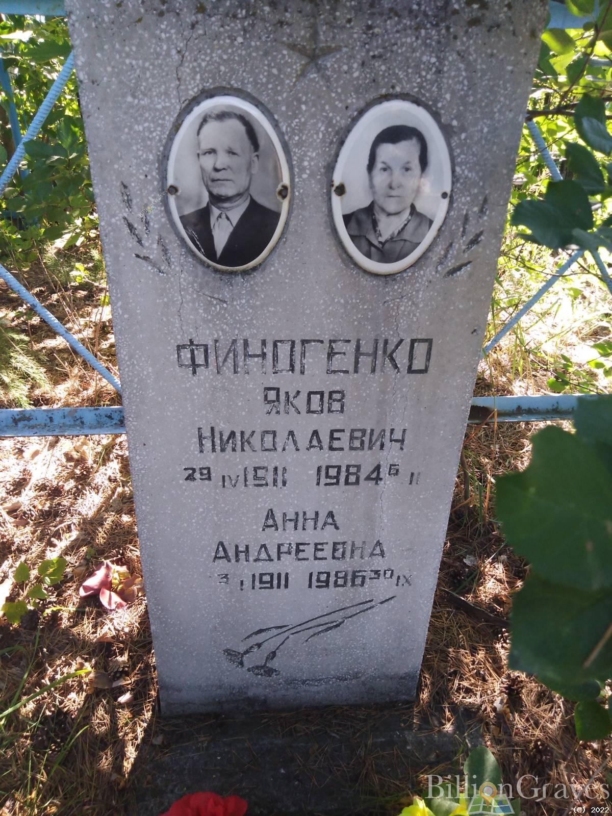 Финогенко Анна Андреевна