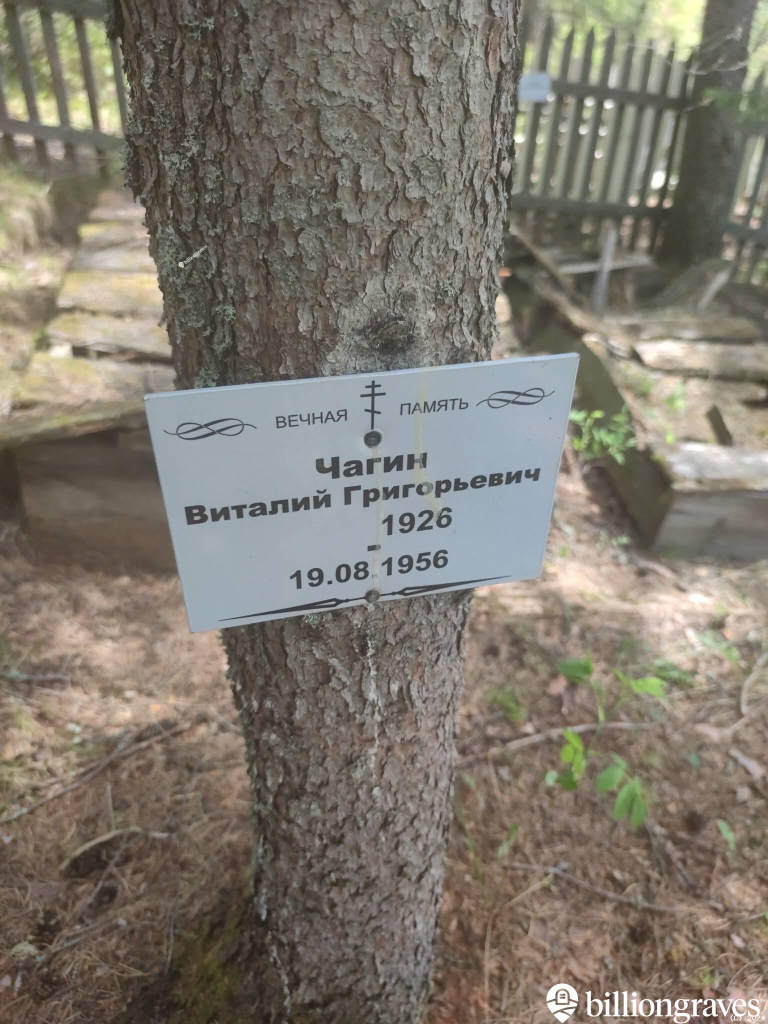 Чагин Виталий Григорьевич