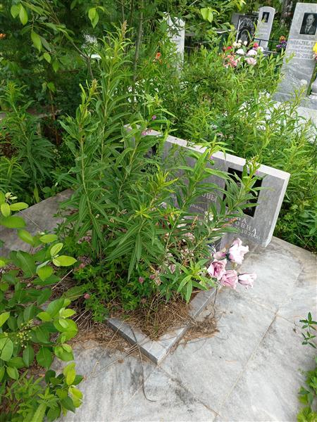 Праведников Юрий Иванович