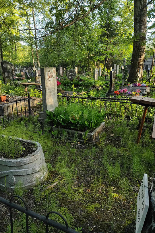 Чесноков А. П.