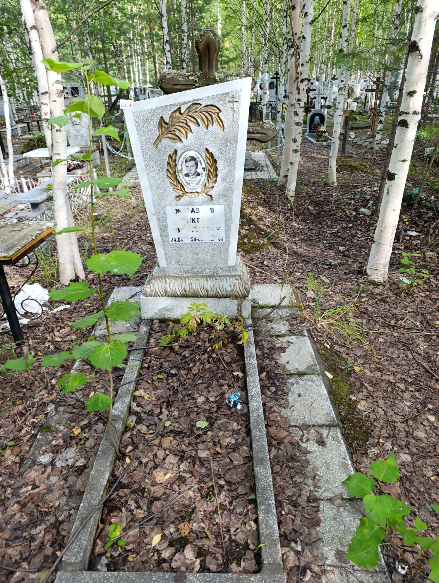 Журавлев Виктор Николаевич