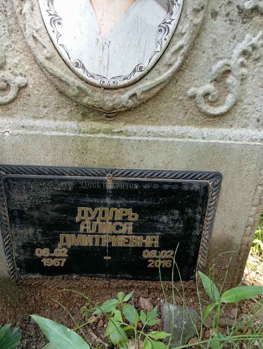 Дударь Алиса Дмитриевна