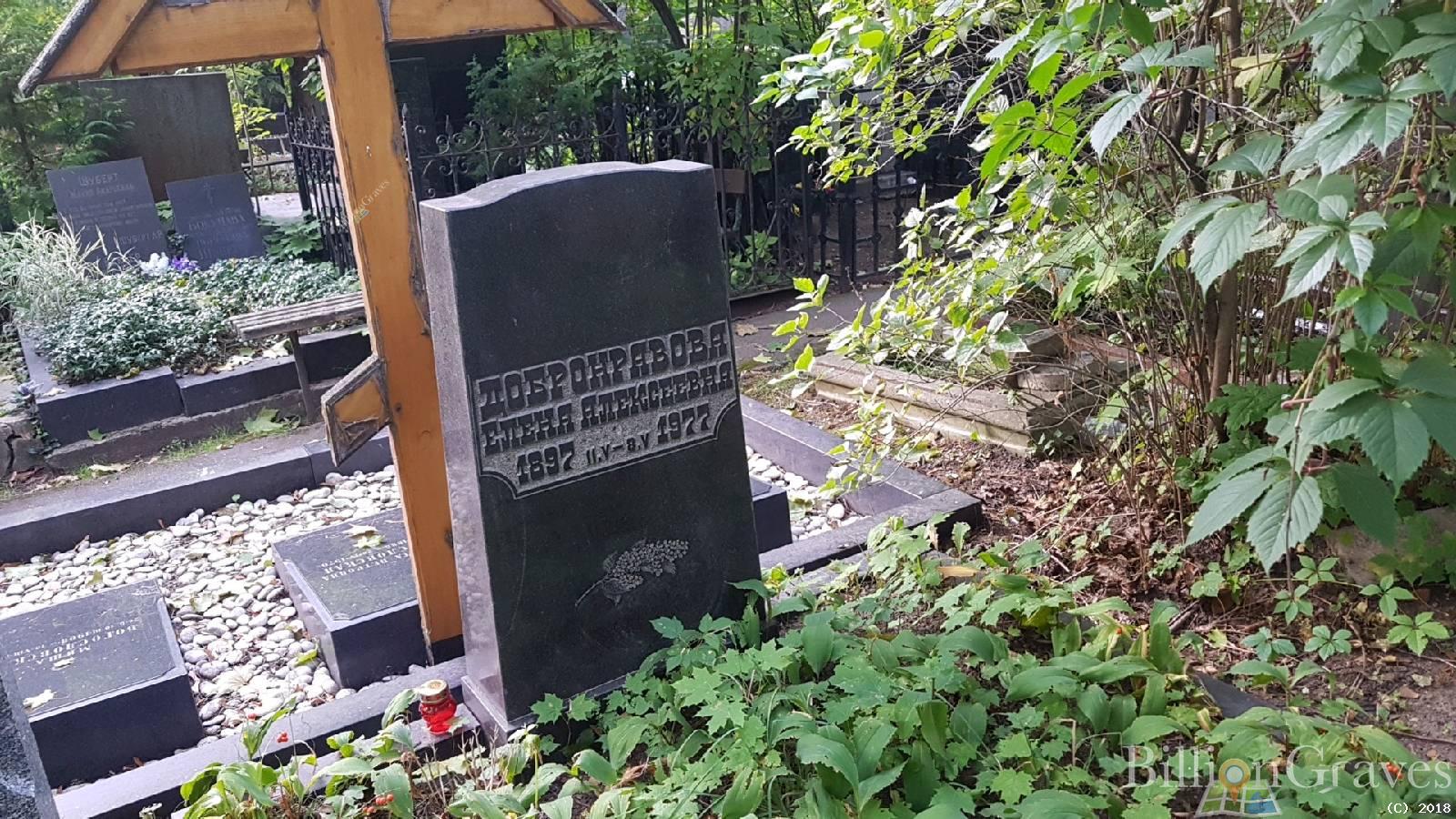 Добронравова Елена Алексеевна
