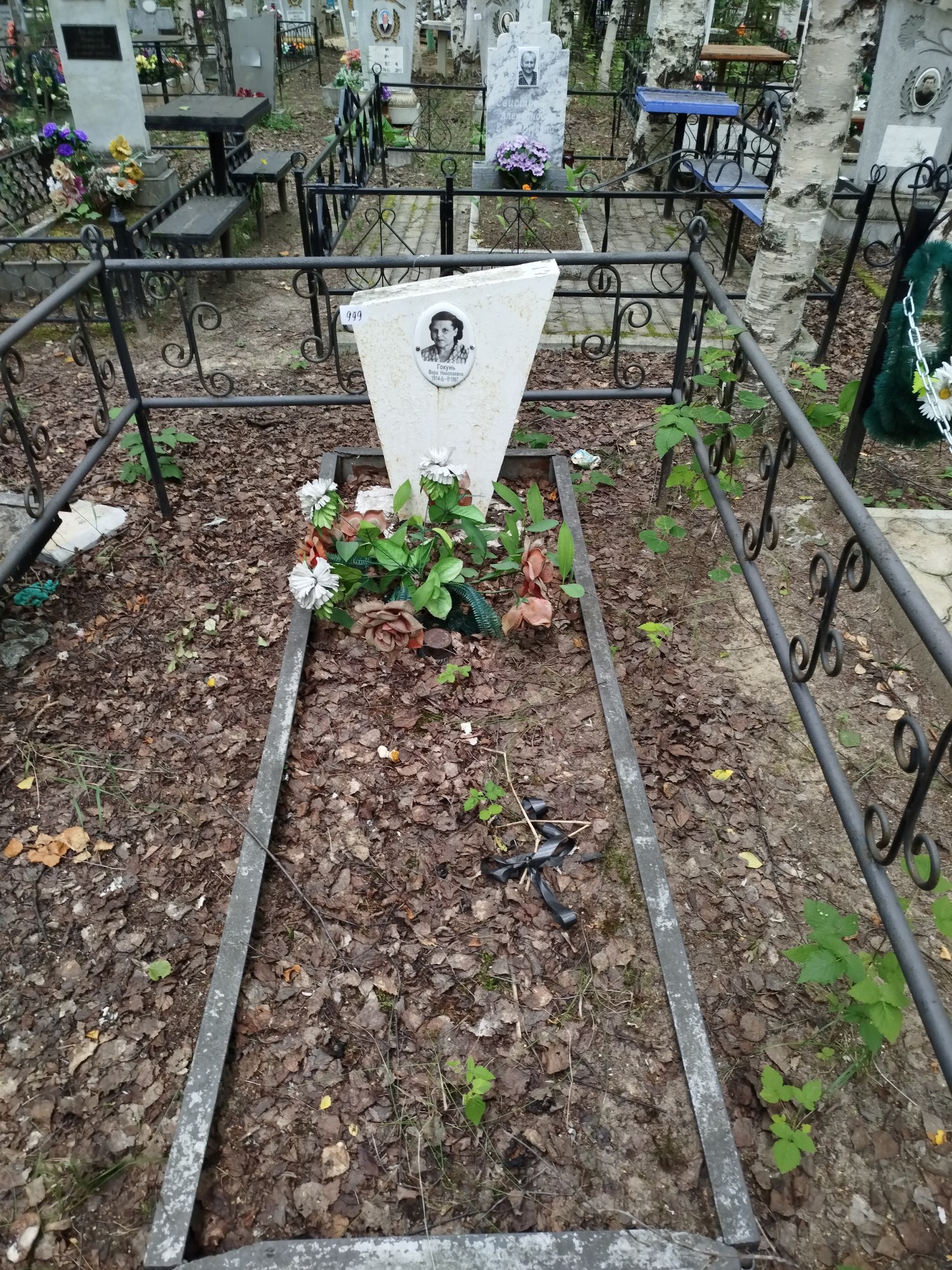 Гокунь Вера Николаевна