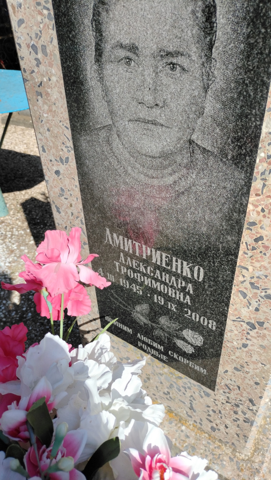 Дмитриенко Александра Трофимовна