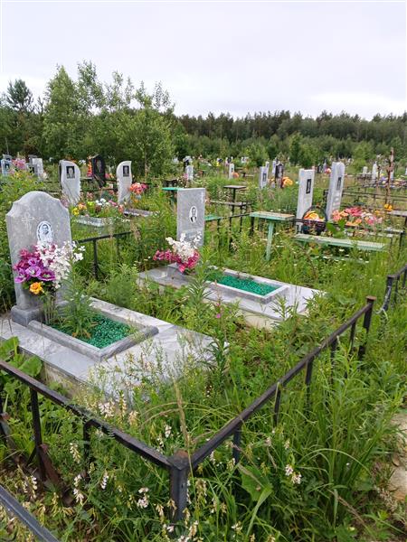 Чипуштанова Ольга Дмитриевна