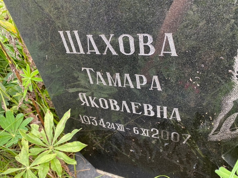 Шахова