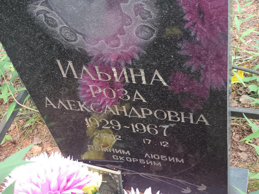 Ильина Роза Александровна