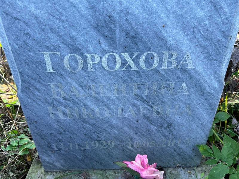 Горохова